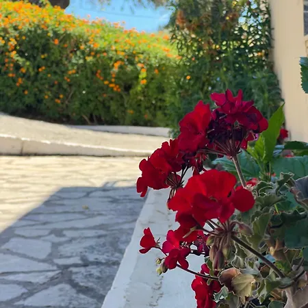 アパート Venias Place